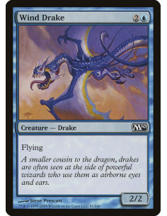 Wind Drake