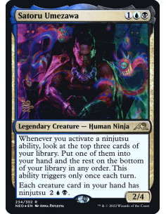 Satoru Umezawa - Foil