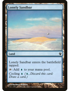 Lonely Sandbar