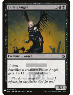 Fallen Angel