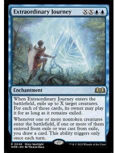 Extraordinary Journey