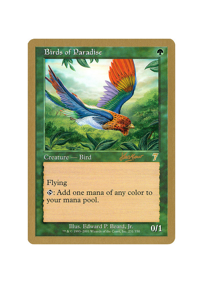 Birds of Paradise