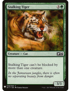 Stalking Tiger