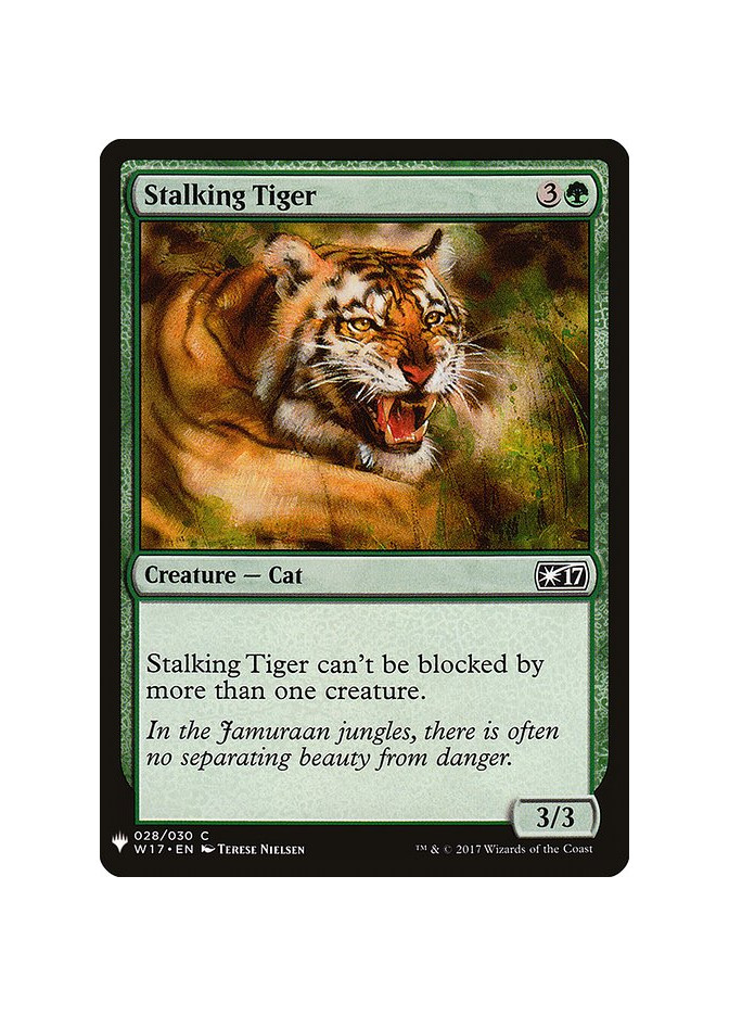 Stalking Tiger