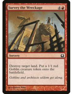 Survey the Wreckage - Foil