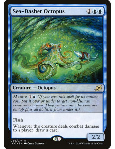 Sea-Dasher Octopus