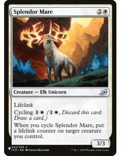 Splendor Mare