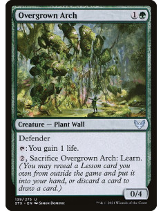 Overgrown Arch