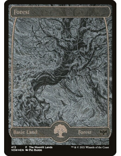 Forest - Foil