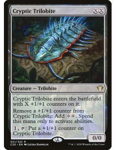 Cryptic Trilobite