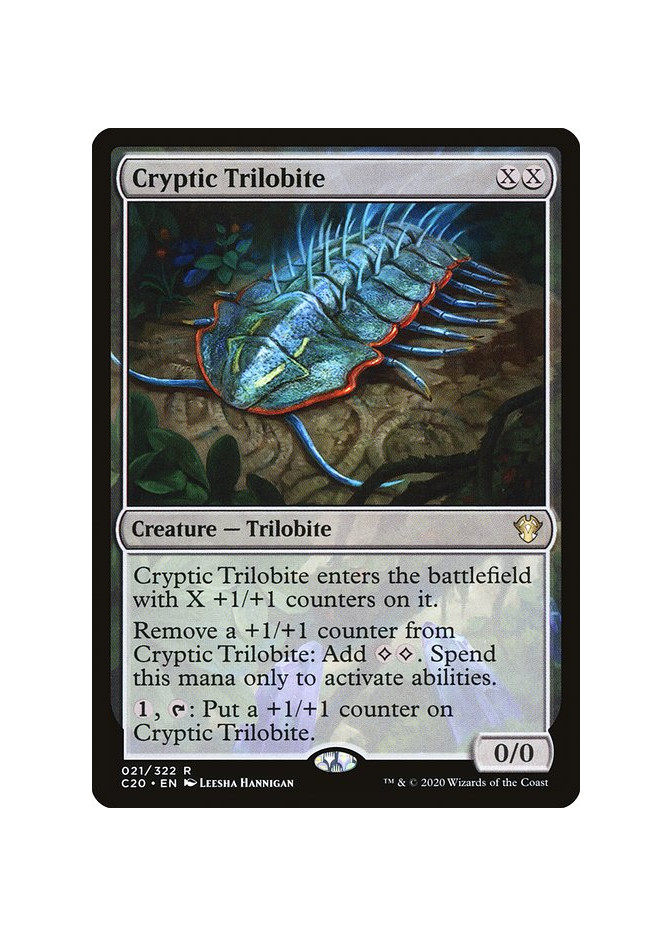 Cryptic Trilobite