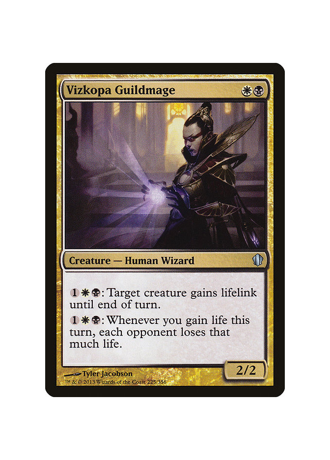 Vizkopa Guildmage