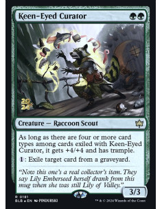 Keen-Eyed Curator - Foil