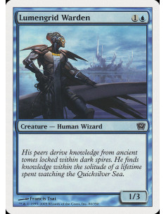 Lumengrid Warden