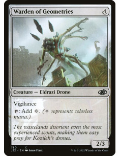 Warden of Geometries