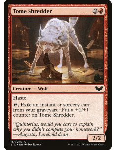 Tome Shredder - Foil