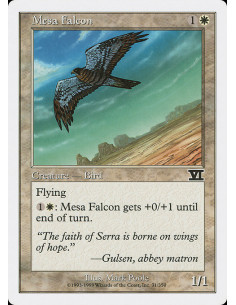 Mesa Falcon