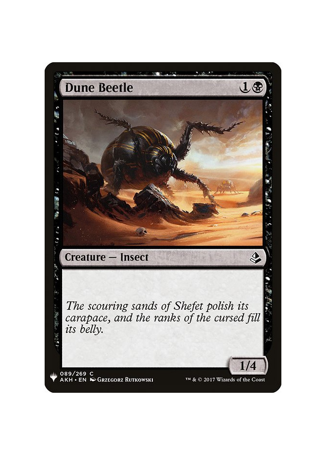 Dune Beetle