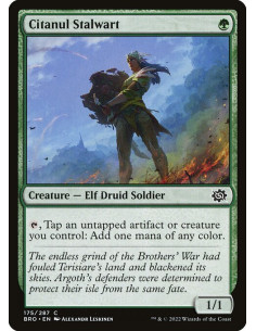 Citanul Stalwart - Foil