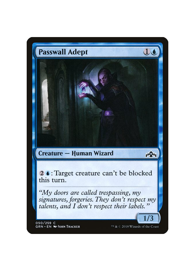 Passwall Adept - Foil