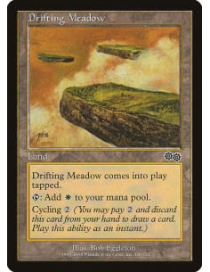 Drifting Meadow
