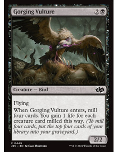 Gorging Vulture