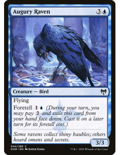 Augury Raven