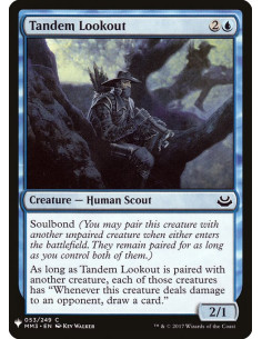 Tandem Lookout