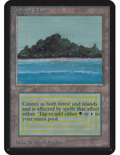 Tropical Island