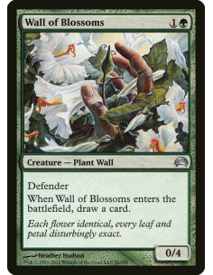Wall of Blossoms