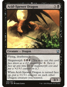 Acid-Spewer Dragon
