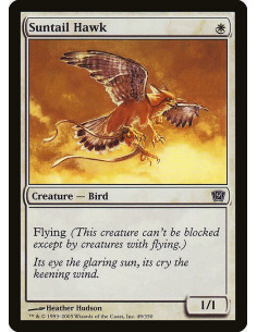 Suntail Hawk - Foil