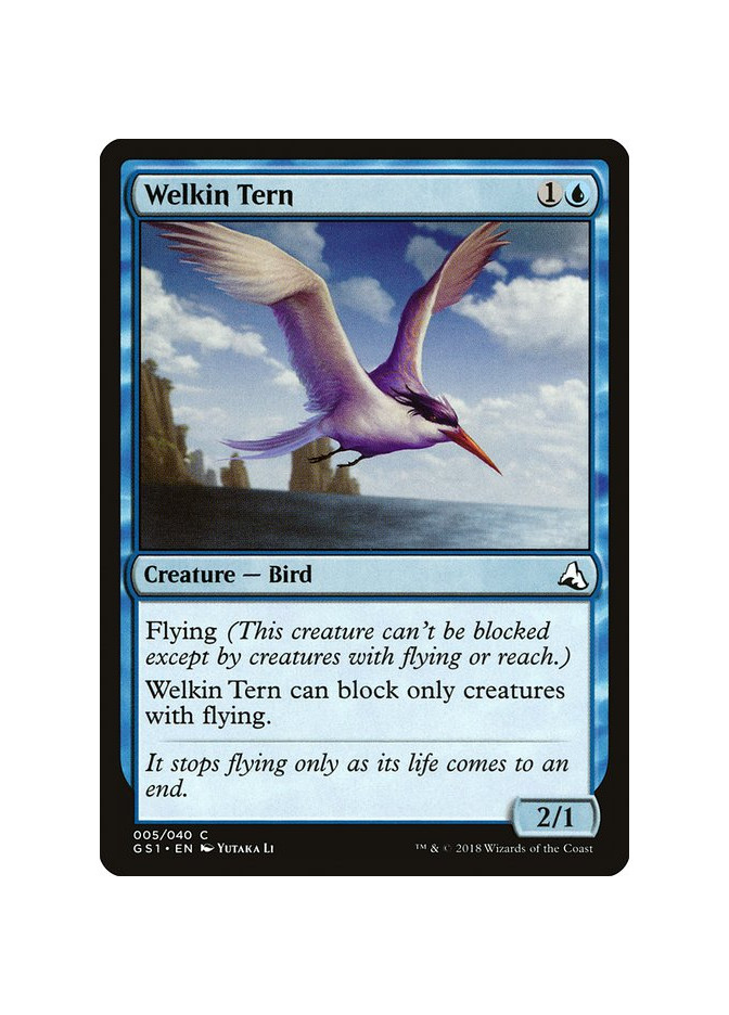 Welkin Tern