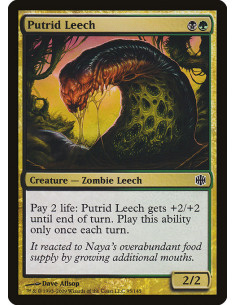 Putrid Leech