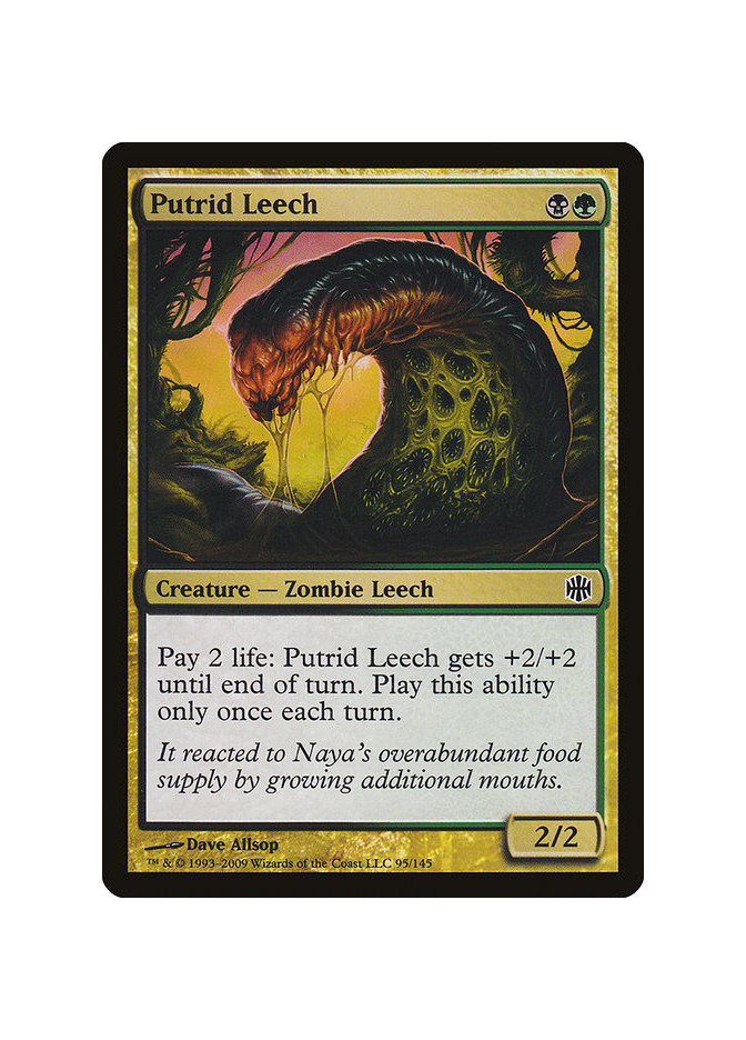 Putrid Leech