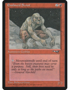 Enslaved Scout