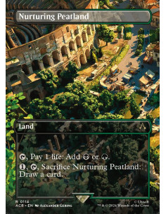 Nurturing Peatland - Foil