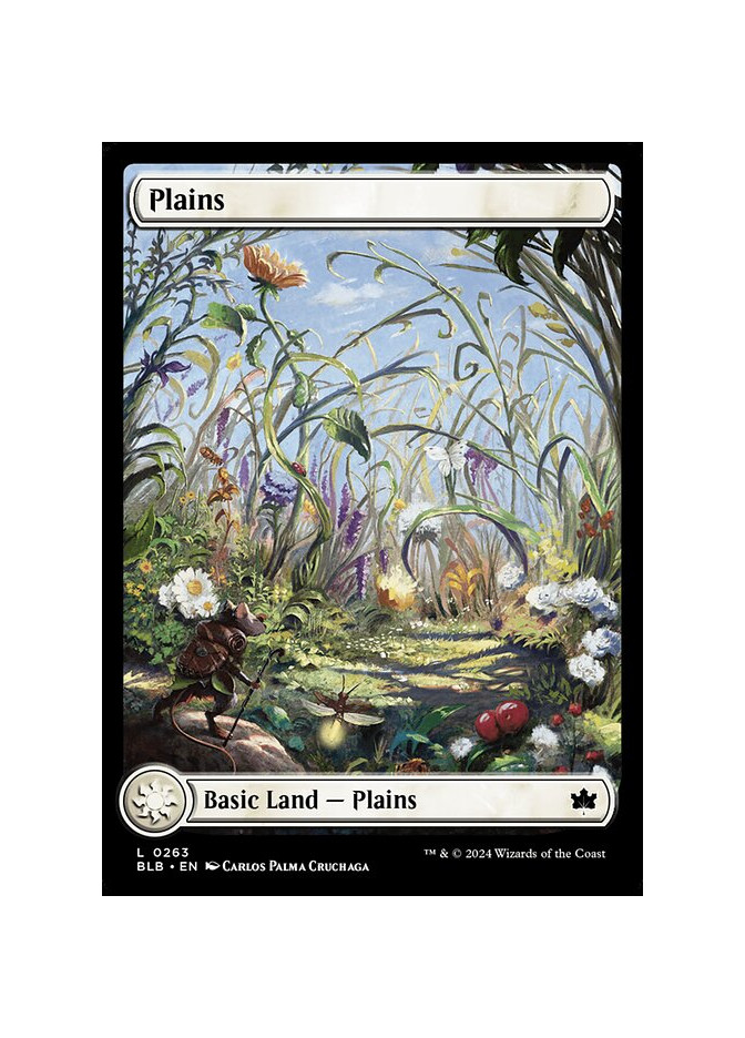 Plains