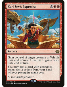 Kari Zev's Expertise - Foil