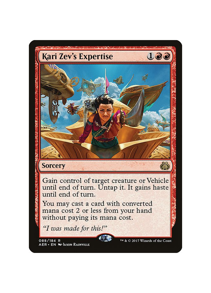 Kari Zev's Expertise - Foil