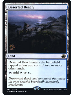 Deserted Beach - Foil