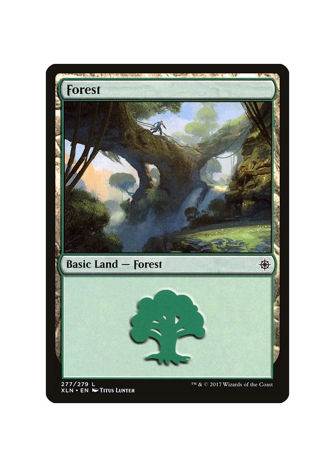 Forest - Foil