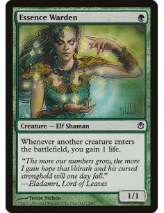 Essence Warden
