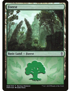 Forest - Foil