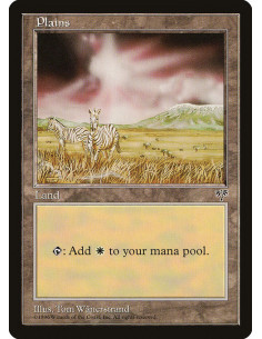 Plains