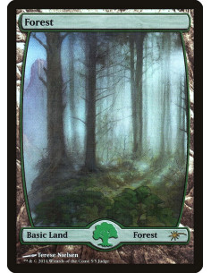 Forest - Foil