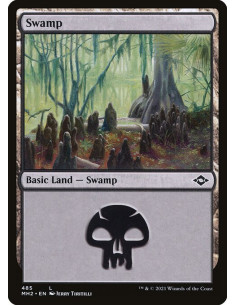 Swamp