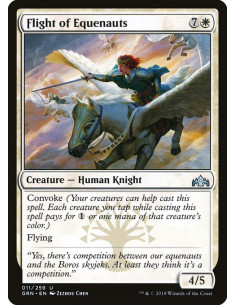 Flight of Equenauts - Foil