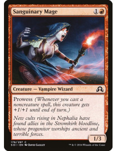 Sanguinary Mage