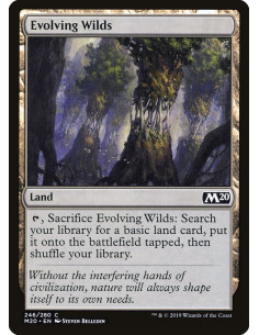 Evolving Wilds